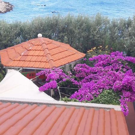Apartments Luka Sevid Luaran gambar
